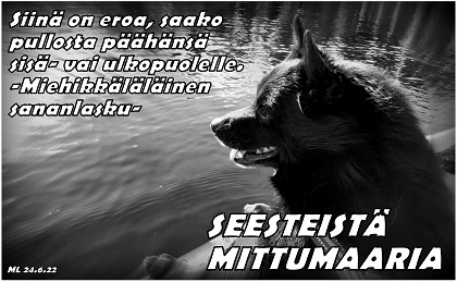 mittumaari, koira, Miehikkälä, kuva: Martti Linna